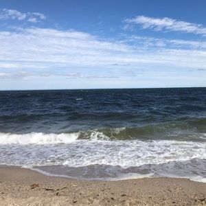 Meet your Posher, Rose